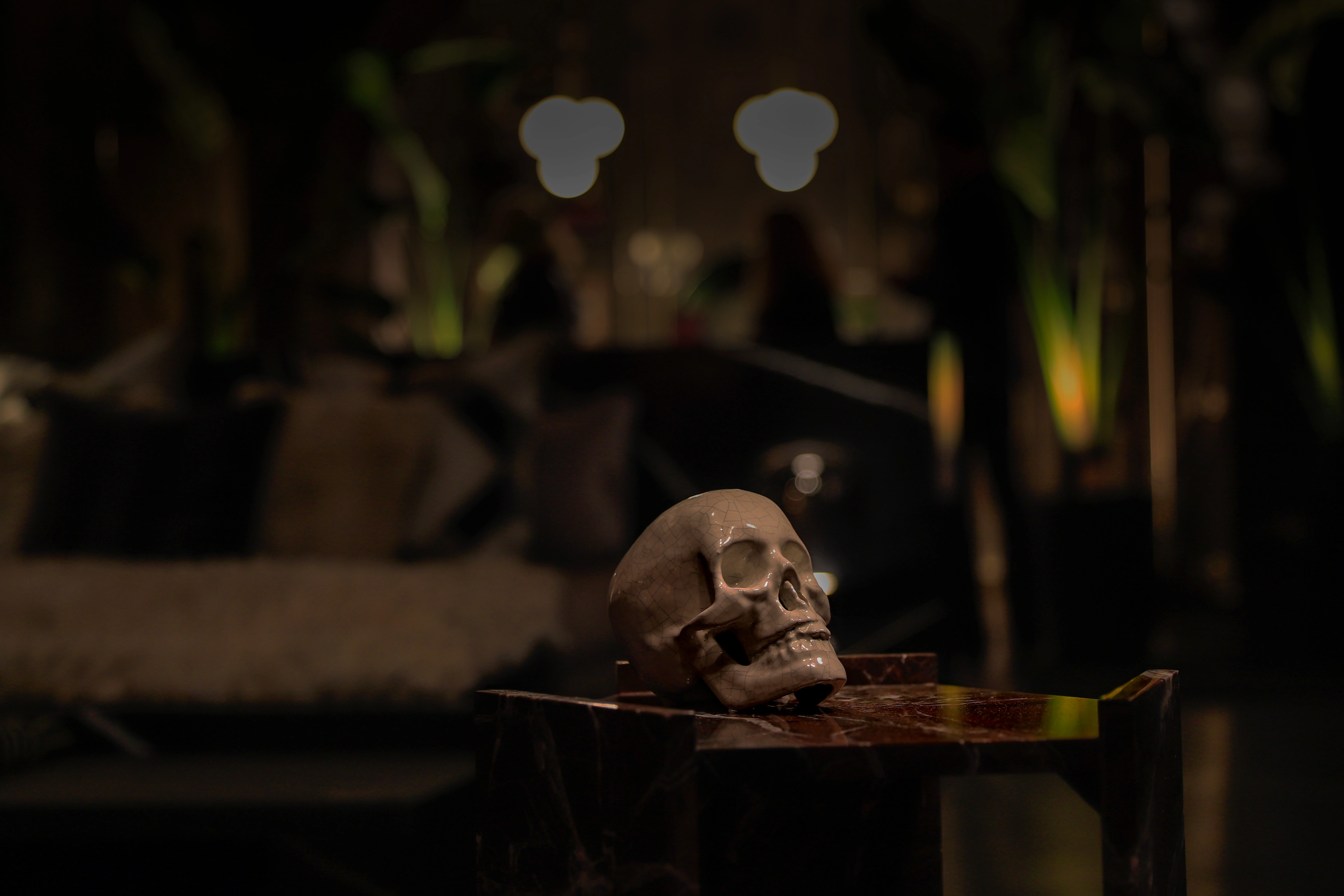 Calavera - Arte y Diseño